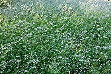 《夺宝奇兵：古老之圈》Steam特别好评 优化不错